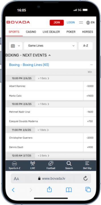bovada boxing bets